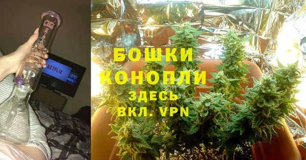 спиды Мегион