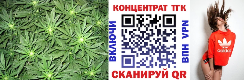 Купить где  Кологрив  ТГК жижа 