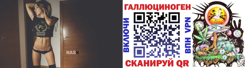 Купить закладки  Кологрив  Псилоцибиновые грибы GOLDEN TEACHER 