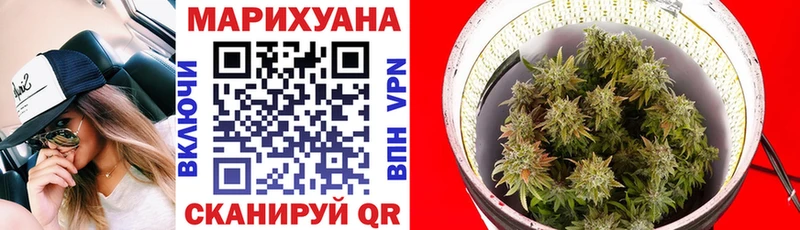 Каннабис Amnesia  Купить  Кологрив 